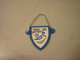 Spono Nottwil Eagles Handball Swizerland Swiss Team Captain Pennant - Handball