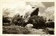 Aruba, N.W.I., Rock Formation (1940s) RPPC Postcard - Aruba