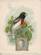 Lot De 5 Chromos The America Singer Series  Oiseaux Et Oeufs Illustrateur JL Ridgway 1898 - Otros & Sin Clasificación