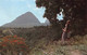 ¤¤    -    SAINTE-LUCIE  -  Ste-Lucia    -  Lot De 2 Cartes     -   ¤¤ - St. Lucia