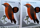 Errors Romania 1966 # MI 2501 Printed  With Displaced Bird , Songbirds - Varietà & Curiosità