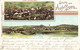 Gruss Aus Andelfingen Litho 1906 - Andelfingen