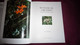 BOTANICAL ORCHIDS And How To Grow Them Botanique Plantes Fleur Orchidées Flowers Index Classification Societies Orchidea - Other & Unclassified