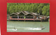 SKI NAUTIQUE--voir 2 Scans - Ski Nautique