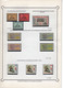 Delcampe - CUBA Colección Nueva Montada En Filaband En Folios Años 1962-63: Todas Series Completas – Valorizada En € 200,00 - Collections, Lots & Series