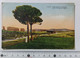 I121187 Cartolina - Roma - Acquedotto Di Claudio Sulla Via Appia Nuova - VG 1934 - Otros Monumentos Y Edificios