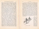 Delcampe - A102 1278 Purtscheller Entwicklung Alpinismus Alpine Technik Artikel / Bilder 1894 !! - Sport