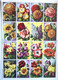 Pédagogie Ecole Images Botannique Végétaux 9 Planches Scolaires Arnaud Dechaux éditeur 1950 état Superbe - Material Und Zubehör