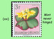 Delcampe - 1953 ** RUANDA-URUNDI RU 177/195 MNH TROPICAL FLOWERS SET  ( X 19 Stamps ) - Unused Stamps