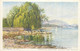 Switzerland Zurich RICHTERSWIL Partie Am Zurichsee Trauerweide Postcard - Richterswil