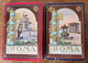 2 Carnets Partie 1 Et 2 Rome Roma Carnet Complet 32 Vues  Couverture Relief Gaufrée éditeur Serta Avec Plan - Colecciones & Lotes