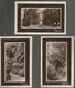 3 Cartes The Old Brige Et The Glen 1908 - Limerick