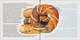 Poland 2022 Booklet / Polish Regional Products, Protected Geographical Indication, Food, Bagel, With Stamp MNH** - Booklets
