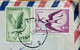 TURKEY 1960, AIRMAIL BIRD USED COVER TO USA 2 DIFFERENT BIRD STAMPS - Lettres & Documents