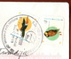 Argentina 1999 / 1995 Local Fauna - Birds, Ramphastos Toco Toco Toucan 50 C, Tyto Alba Barn Owl 1 $ - Covers & Documents