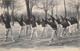 CPA - 94 - JOINVILLE LE PONT - Ecole Normale De Gymnastique Et D'escrime - Flexion Latérale Du Tronc - Joinville Le Pont