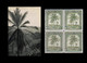 1942 ** RUANDA-URUNDI = RU 127 MNH OLIVE PALM TREES / PHOTO CARD [B] (12.8 X 9.3 Mm) WITH BLOCK OF 4 MNH STAMPS - Unused Stamps