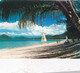 Palm Cove Beach - NT - NSW -  Australia  - Used Postcard - - Non Classés