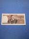 ITALIA-P104 20000L  21/2/1975 - 20.000 Lire