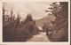 AK: 1921 Unterägeri - Hohe Promenade. Gelaufen - Unterägeri