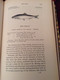 A HISTORY OF BRITISH FISHES - William YARRELL - In Two Volumes. 1859 - Vie Sauvage