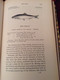 A HISTORY OF BRITISH FISHES - William YARRELL - In Two Volumes. 1859 - Vida Salvaje