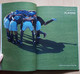Delcampe - Japan National Team Media Guide 2002 FIFA World Cup Korea/ Japan, Japan Football Association - Livres