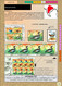 Delcampe - BIRDLIFE ON STAMPS- Ebook-(PDF)-DIGITAL-326 FULLY COLORED-A4-SIZE-ILLUSTRATED BOOK-ISBN-978-93-5659-173-8-EB-01 - Livres Sur Les Collections