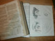Delcampe - 4 Uralte Bücher , 1850 - 1865 , Medizin Correspondenzblatt Würtemberg , Arzt , Krankenhaus !!! - Paketten