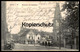 ALTE POSTKARTE HAMM WESTENTOR MIT STÄNDEHAUS GESCHÄFT WILHELM BUDDEBERG SUNLICHT SEIFE Ansichtskarte AK Cpa Postcard - Hamm