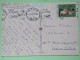 Finland 1973 Postcard ""Lapland - Reindeer"" Turku To Germany - Costumes - Reindeer Sledge Cancel - Lettres & Documents