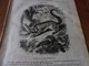 Année 1839: L'Aye - Aye De Madagascar; Kosaks, Les Cosaques Du Don; Javorovo; L'abbé Boizot à Besançon;  Etc - 1800 - 1849