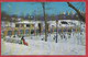 US.-SKATING RINK IN CENTRAL PARK. NEW YORK CITY. - Parks & Gardens