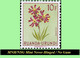 1953 ** RUANDA-URUNDI RU 177/195 MNH/NSG TROPICAL FLOWERS SET  ( X 19 Stamps ) [ NO GUM ] - Unused Stamps