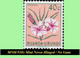 Delcampe - 1953 ** RUANDA-URUNDI RU 177/195 MNH/NSG TROPICAL FLOWERS SET  ( X 19 Stamps ) [ NO GUM ] - Unused Stamps