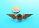 DELTA (Usa) - Original Vintage Pilot Wings Badge * Airways Airline Air Company Pilote Atlanta, Georgia United State - Badges D'équipage