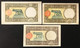 50 Lire Lupa Capitolina 3 Es. Diversi 1938 Roma  1942 Roma 1942 L'aquila  LOTTO 4225 - Collections