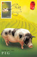 HONGKONG - MC YEAR OF PIG 2007  / ZB49 - Maximum Cards