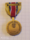 MEDAILLE USA, Army National Guard Components Achievement Medal, GARDE NATIONALE RESERVE ARCAM(2 - USA