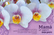 Lote PEP532, Cuba, 2014, Entero Postal, Postal Stationary,  Flower, Orchid Postcard, Mother's Day, 16/40, Postcard - Maximumkarten