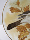 *ASSIETTE DECORATIVE PORCELAINE D'ART PASTAUD LIMOGES GEAI Sur Banche Signé   E - Limoges (FRA)