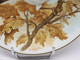 Delcampe - *ASSIETTE DECORATIVE PORCELAINE D'ART PASTAUD LIMOGES GEAI Sur Banche Signé   E - Limoges (FRA)