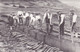 BALA PEAT CUTTING AT CWMTYLO, PEOPLE - Gwynedd