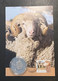 (3 Oø 25 A) Merino Sheep Farming Maxicard 2012  - With 50cents 1991 "Sheep" Coin - 50 Cents