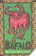 Italy:Used Phonecard, Telecom Italia, 10000 Lire, Buffalo, 2002 - Public Themes