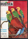 RUSTICA N°8 1961 Azalée Pigeon Salade Poireau Nice French Gardening Magazine - Garten