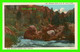 ROCKY MOUNTAIN NATIONAL PARK, CO - ELEPHANT ROCK IN SO. ST VRAIN CANON - SANBORN SOUVENIR CO - - Rocky Mountains