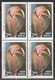 India MNH 1982, Block Of 4, 2.00 Himalayan Flowers Series, Flower - Blocks & Kleinbögen