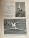 Delcampe - 10 E  Jeux Olympiques De 1932 à Los Angeles - Colecciones