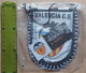 Valencia CF Spain Football club Soccer Fussball Calcio Futebol  PENNANT, SPORTS FLAG ZS 3/5 - Habillement, Souvenirs & Autres